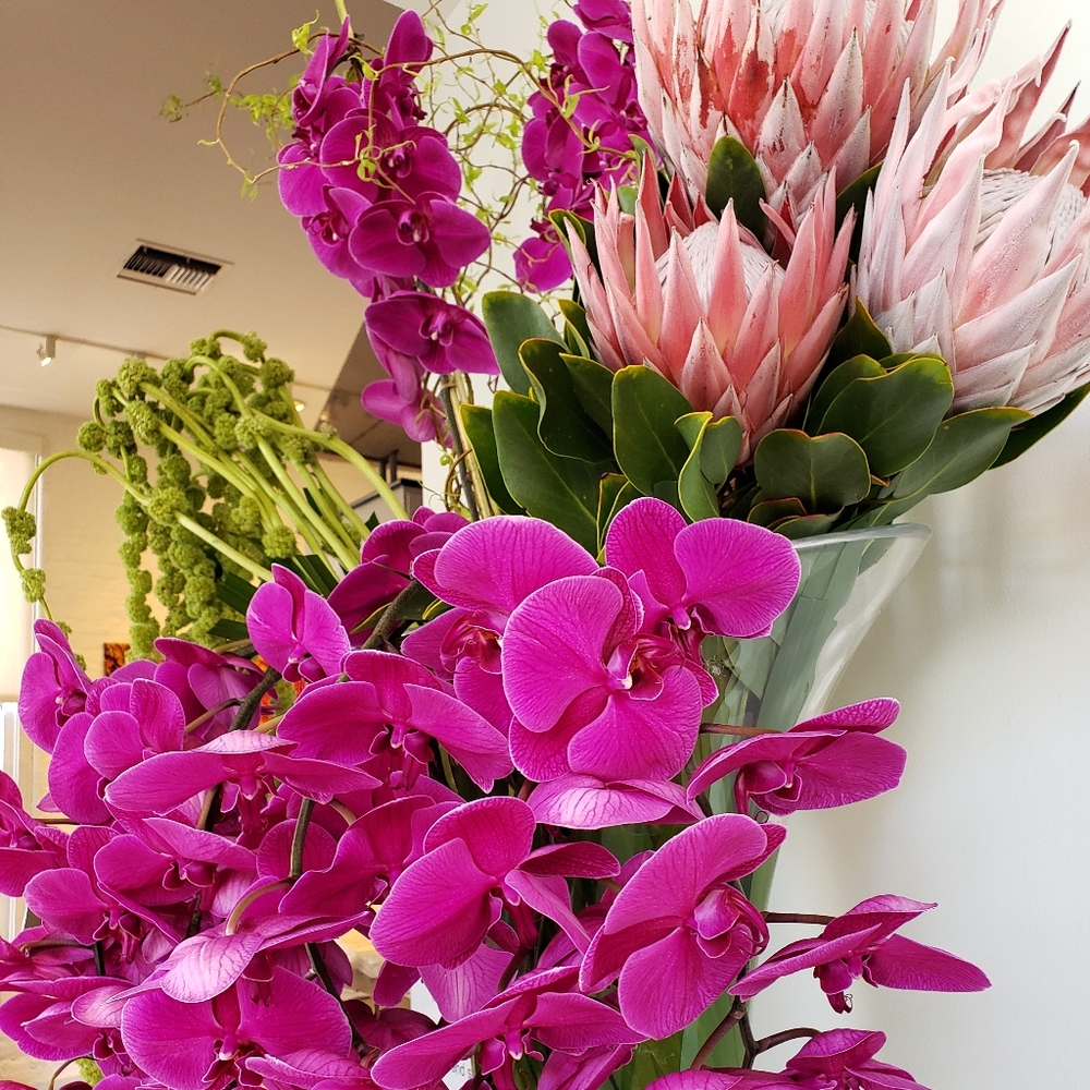 Meet your Posher, Elisa